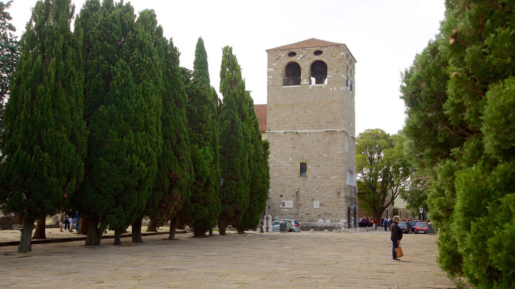 Katedralen i San Giusto som inkluderer historisk arkitektur