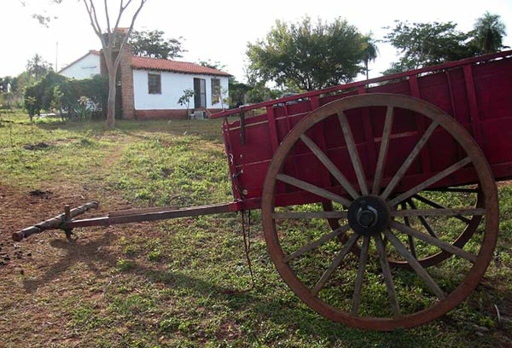 farm paraguay