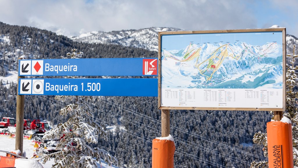 Baqueira Beret Ski Resort showing snow, forests and signage