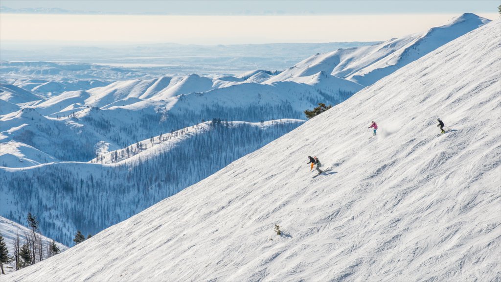 Sun Valleyn hiihtokeskus featuring vuoret, hiihto ja lunta