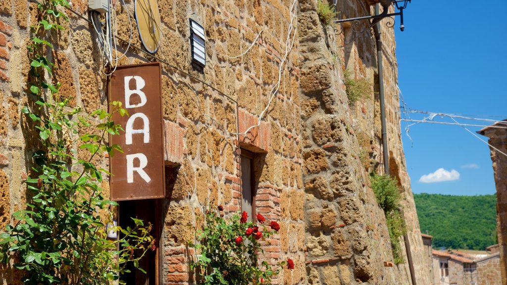 Sovana showing heritage architecture and signage