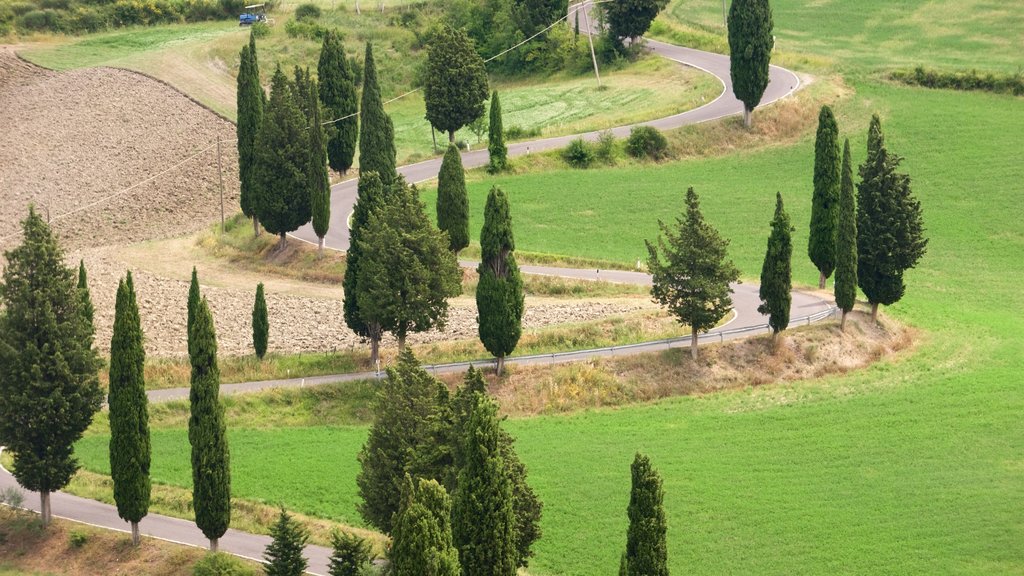 Monticchiello ofreciendo jardín