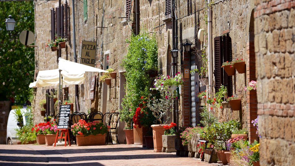 Sovana showing flowers and heritage architecture