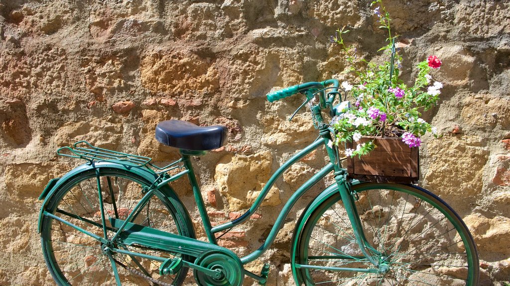 Monticchiello showing heritage architecture and flowers