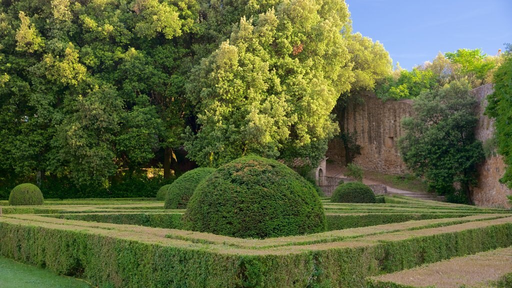 San Quirico d\'Orcia showing a garden