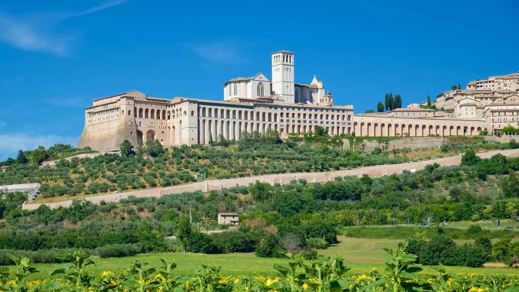 Assisi som inkluderer åkre og historisk arkitektur