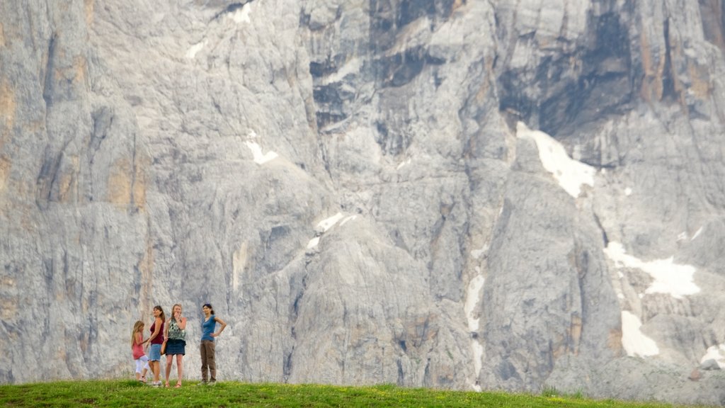 Passo Rolle which includes tranquil scenes as well as a family