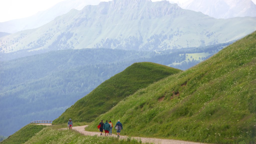 Passo Rolle que incluye senderismo o caminata y escenas tranquilas