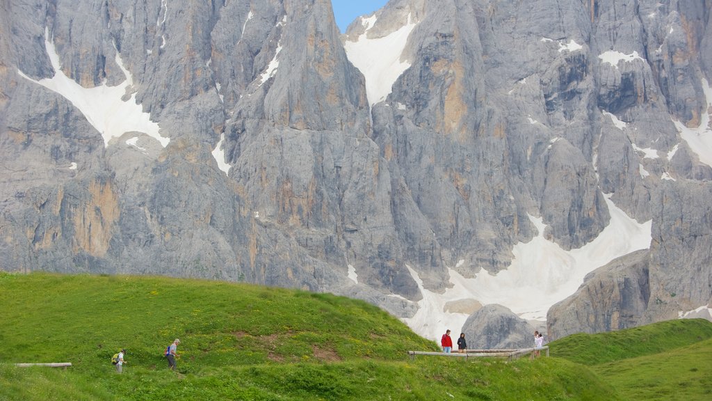 Passo Rolle showing hiking or walking and tranquil scenes