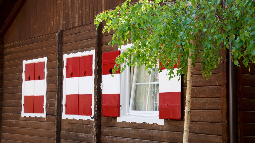 Soprabolzano showing a house