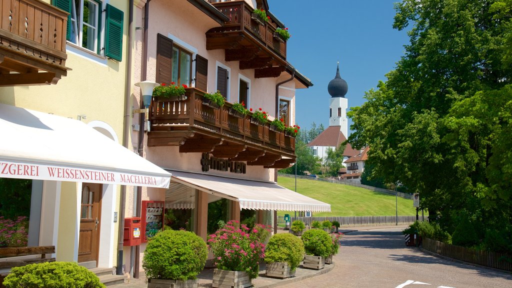 Soprabolzano som viser gadeliv og en have