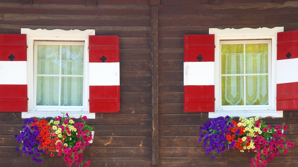 Soprabolzano bevat bloemen en een huis