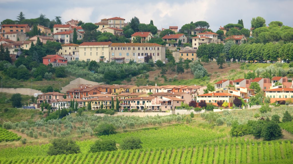 Panzano in Chianti which includes a city, heritage architecture and a small town or village