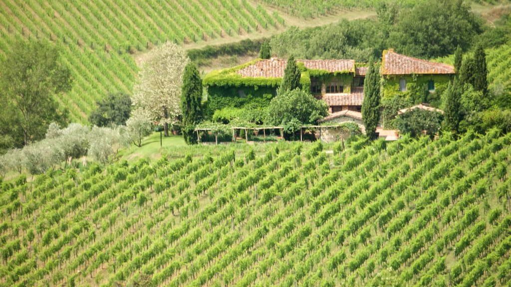 Panzano in Chianti showing farmland and a small town or village