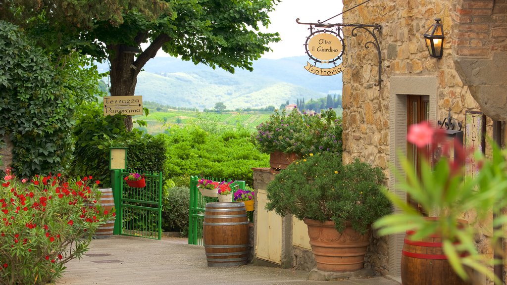 Panzano in Chianti mostrando señalización, una pequeña ciudad o aldea y flores