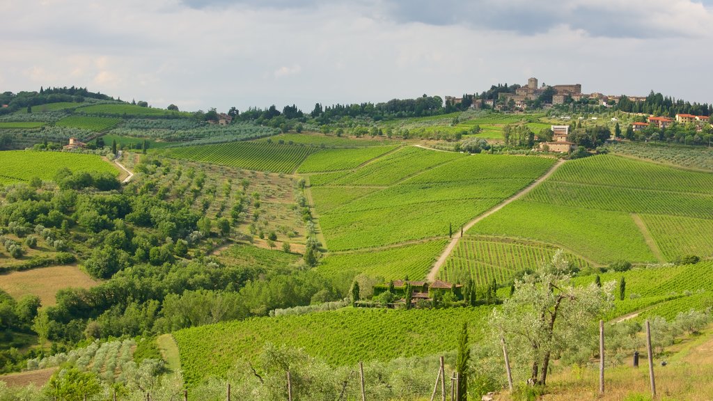 Panzano in Chianti mostrando una pequeña ciudad o pueblo y tierras de cultivo