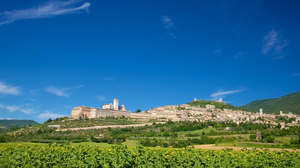 Assisi che include terreno coltivato, vista del paesaggio e città