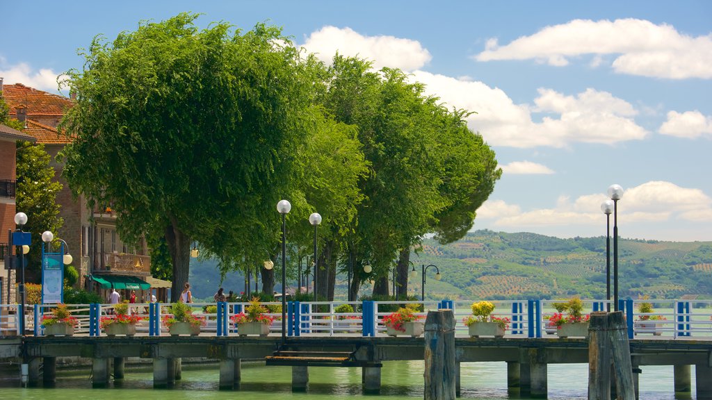 Passignano sul Trasimeno ofreciendo una ciudad costera y vista general a la costa