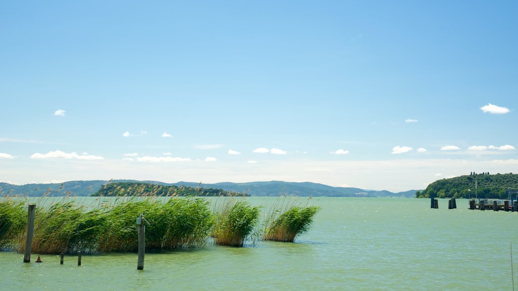 Tuoro sul Trasimeno che include vista della costa