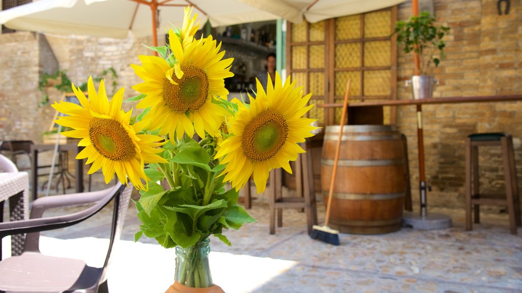 Montefalco caracterizando flores