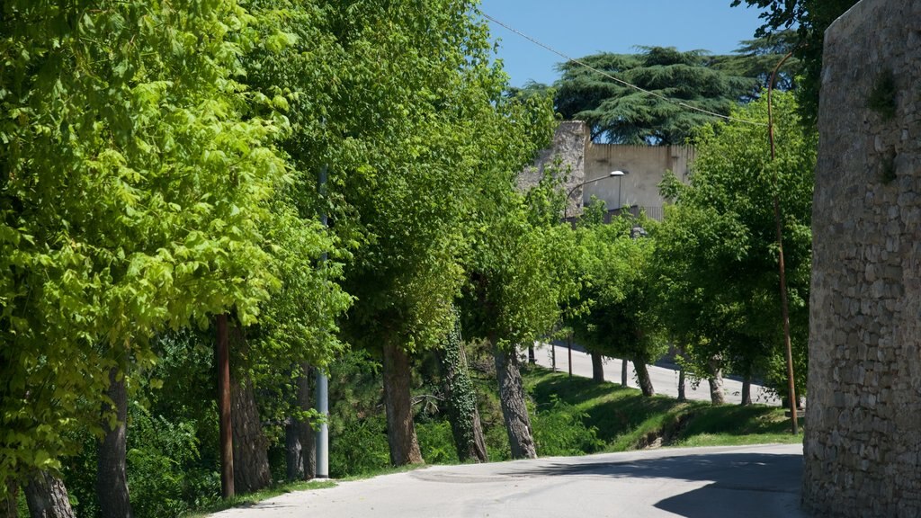 Montefalco toont een klein stadje of dorpje