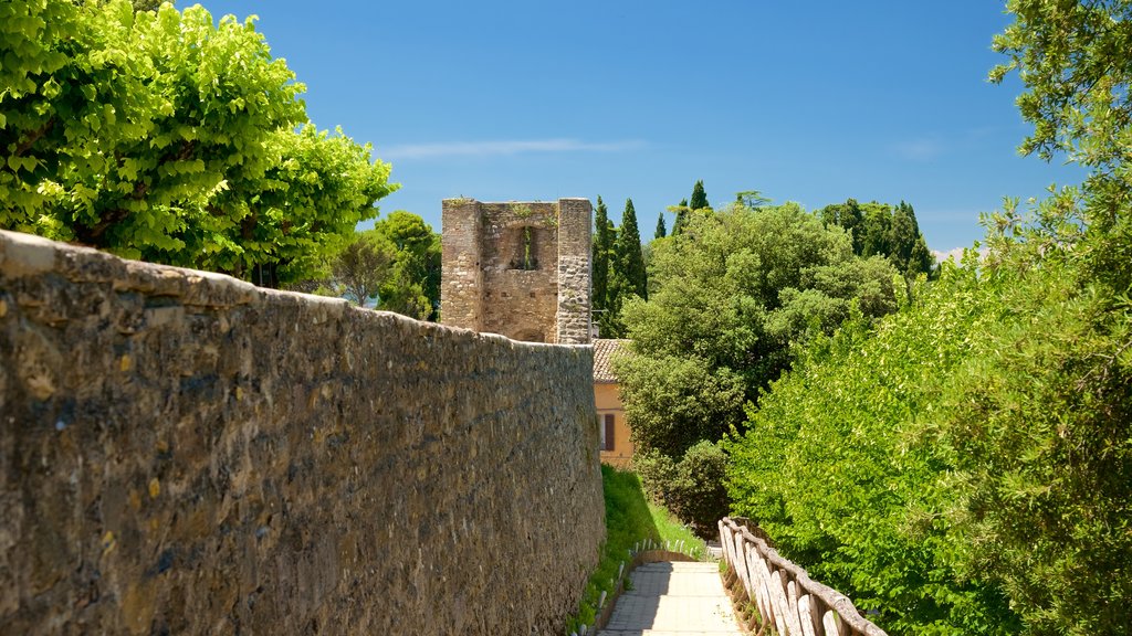 Montefalco que incluye una pequeña ciudad o pueblo