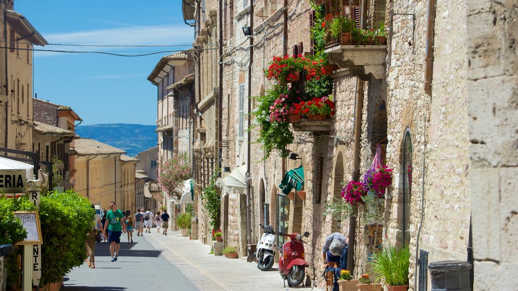 Via San Francesco showing street scenes, flowers and a small town or village