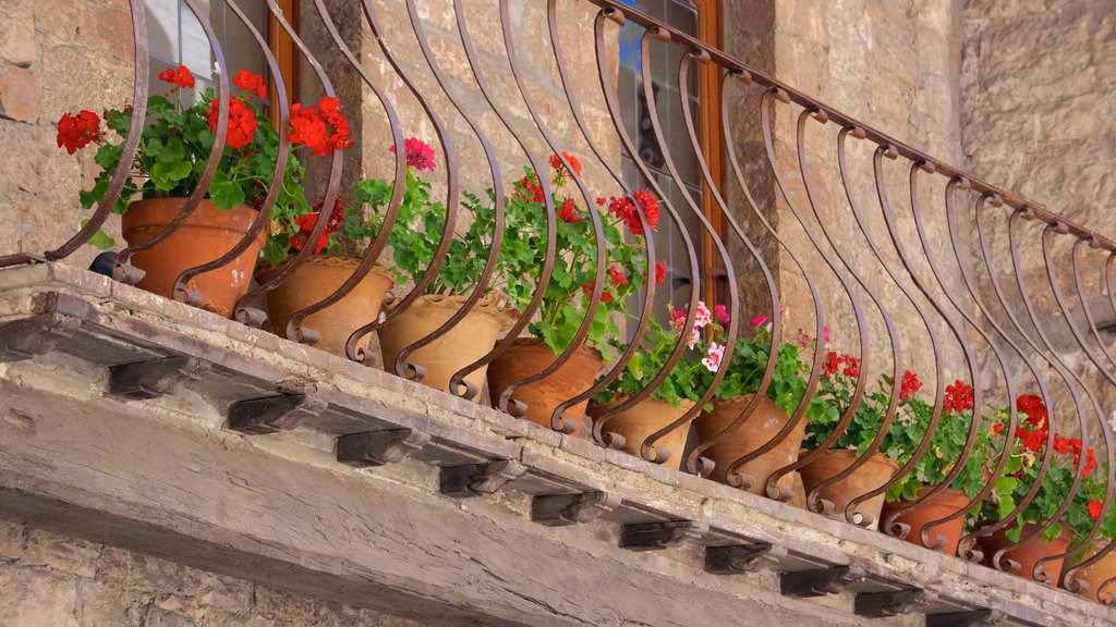 Via San Francesco featuring flowers