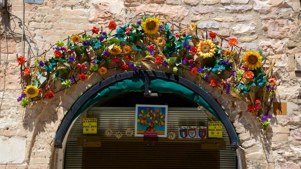 Via San Francesco montrant fleurs