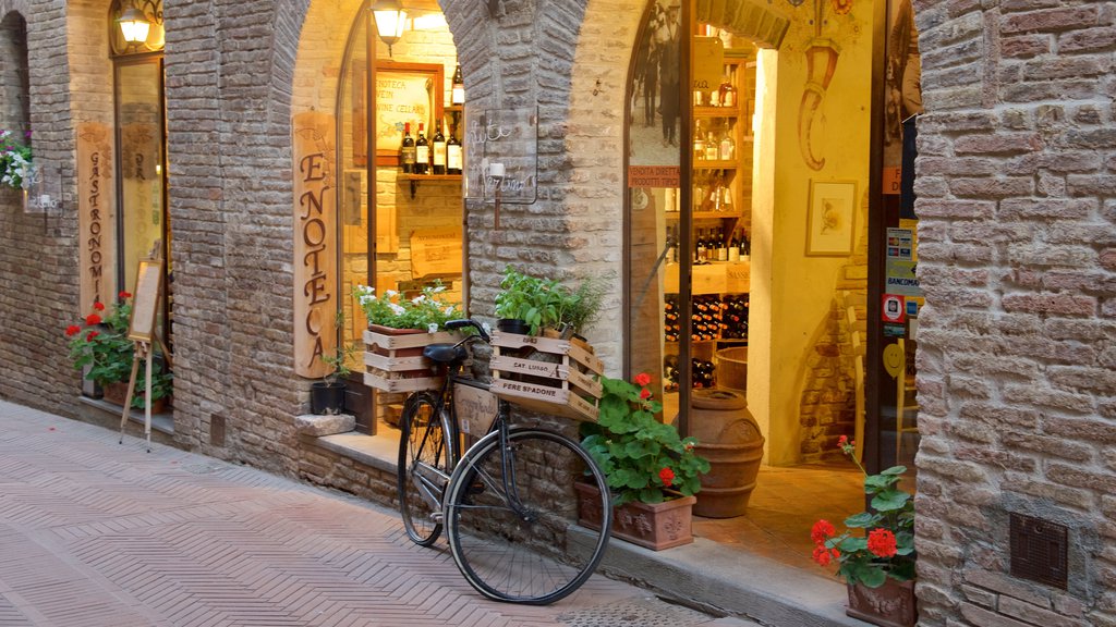 San Gimignano montrant scènes de rue et fleurs