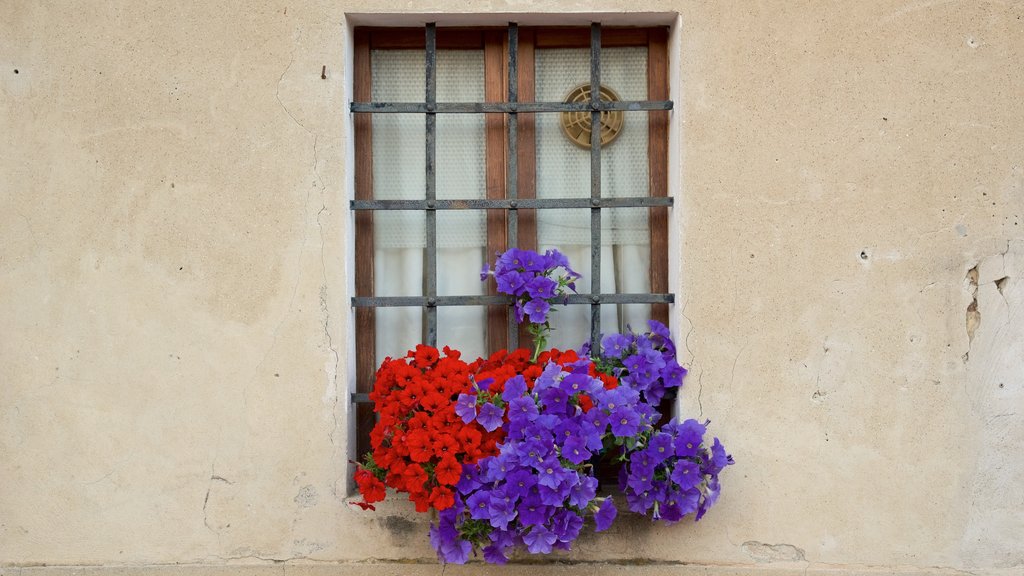 San Gimignano showing flowers