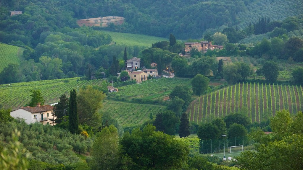 San Gimignano showing a house and farmland