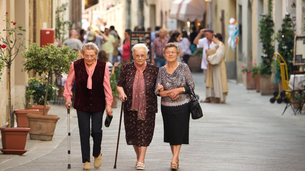 San Quirico d\'Orcia mostrando imágenes de calles y una pequeña ciudad o aldea y también un pequeño grupo de personas