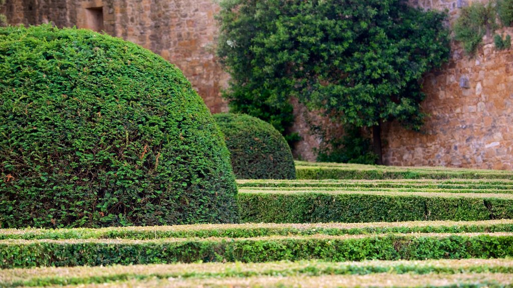 San Quirico d\'Orcia ofreciendo un parque