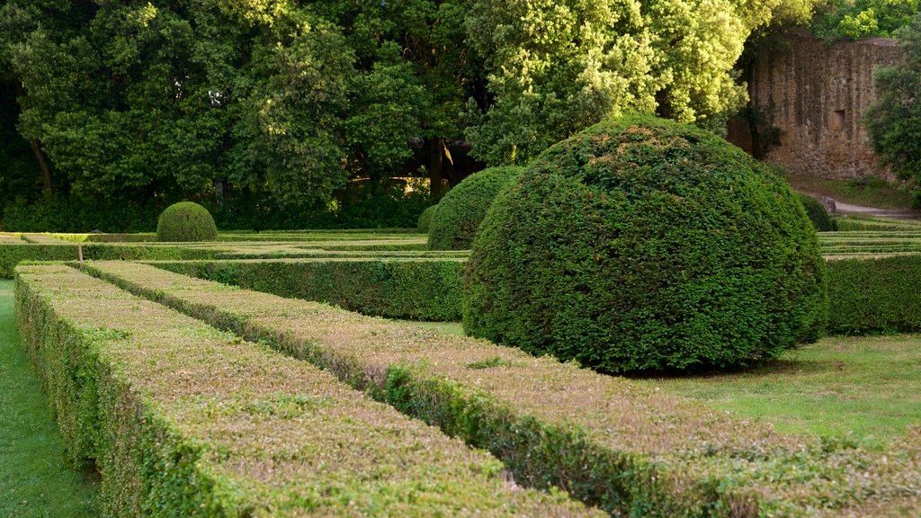 San Quirico d\'Orcia showing a garden