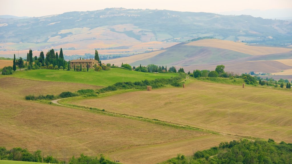 Monticchiello bevat akkerland en landschappen