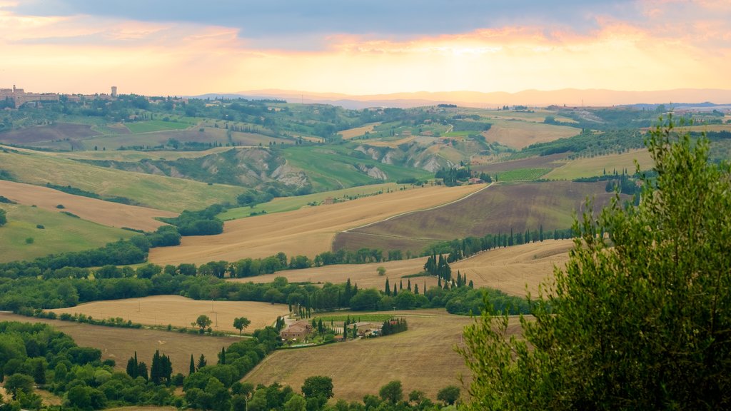 Monticchiello montrant paysages et terre agricole