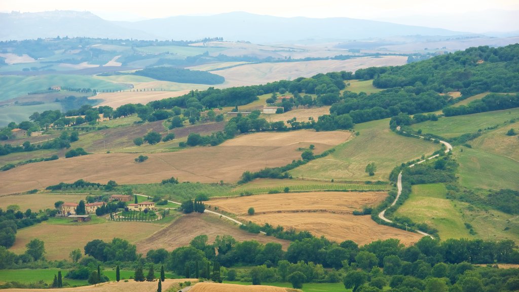 Monticchiello mostrando granja y vista panorámica