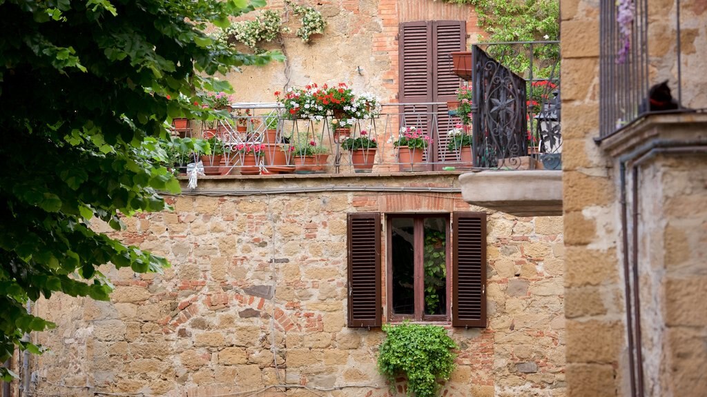 Monticchiello ofreciendo patrimonio de arquitectura, una pequeña ciudad o pueblo y flores