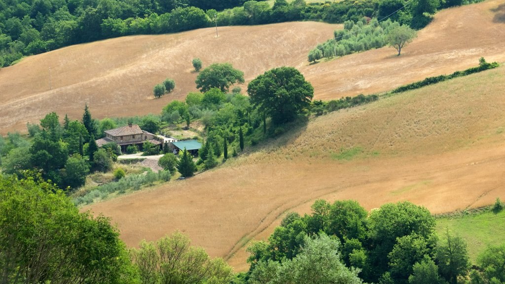 Monticchiello which includes tranquil scenes