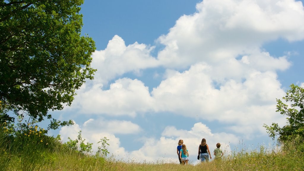 Monticchiello featuring landscape views as well as a family