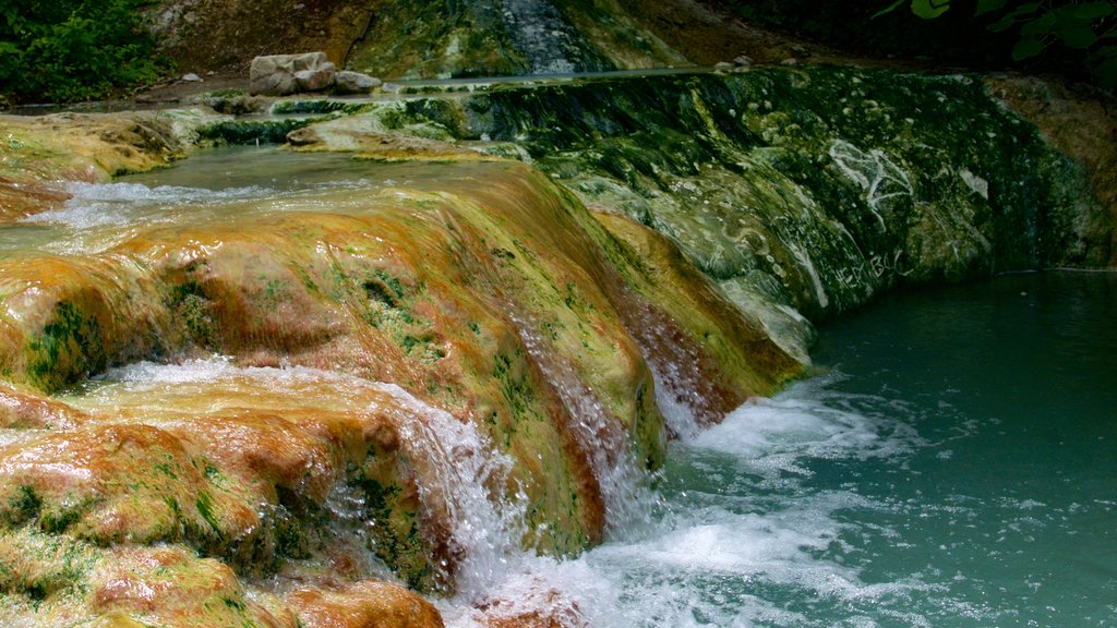 Bagni San Filippo yang mencakup kolam ikan