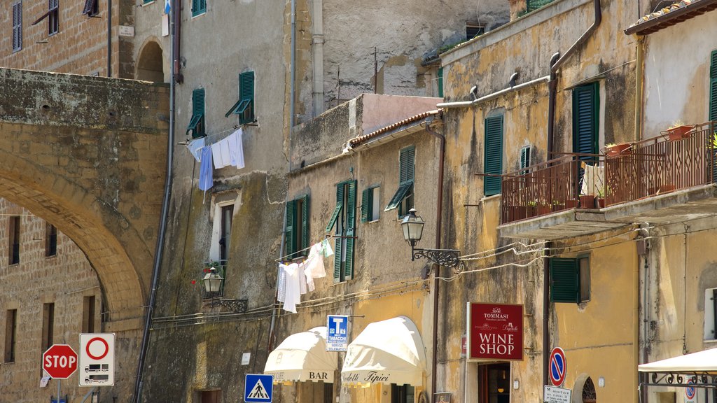 Pitigliano que incluye una pequeña ciudad o aldea