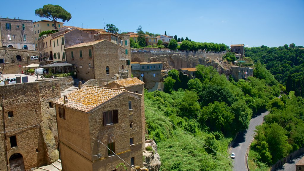 Pitigliano mostrando una pequeña ciudad o pueblo