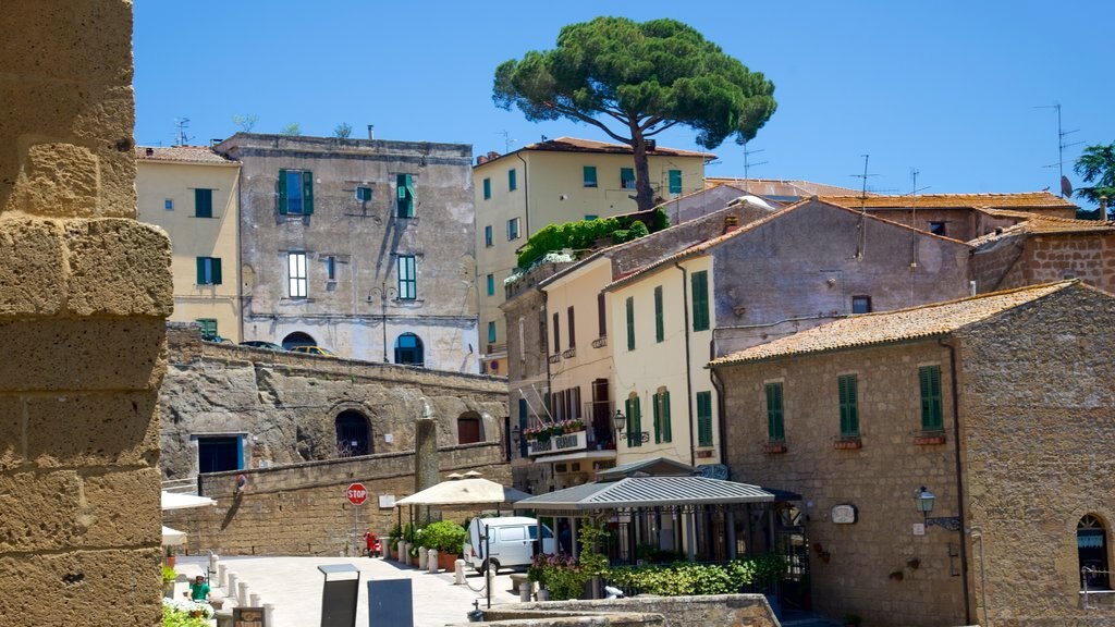 Pitigliano mostrando una pequeña ciudad o aldea y una plaza