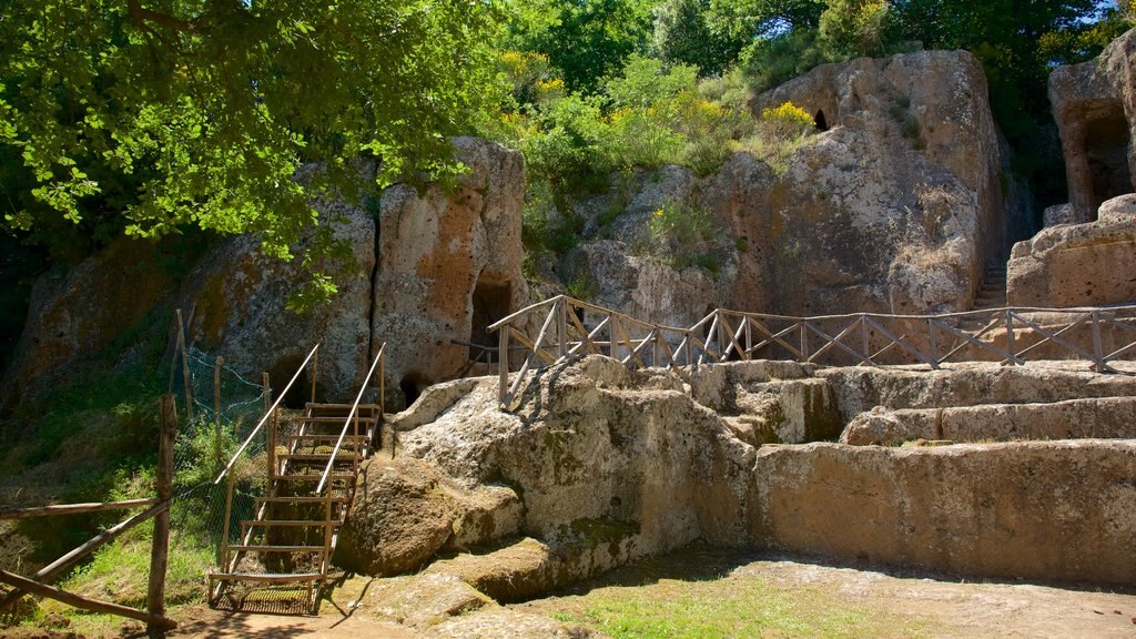 Sovana mostrando arquitetura de patrimônio