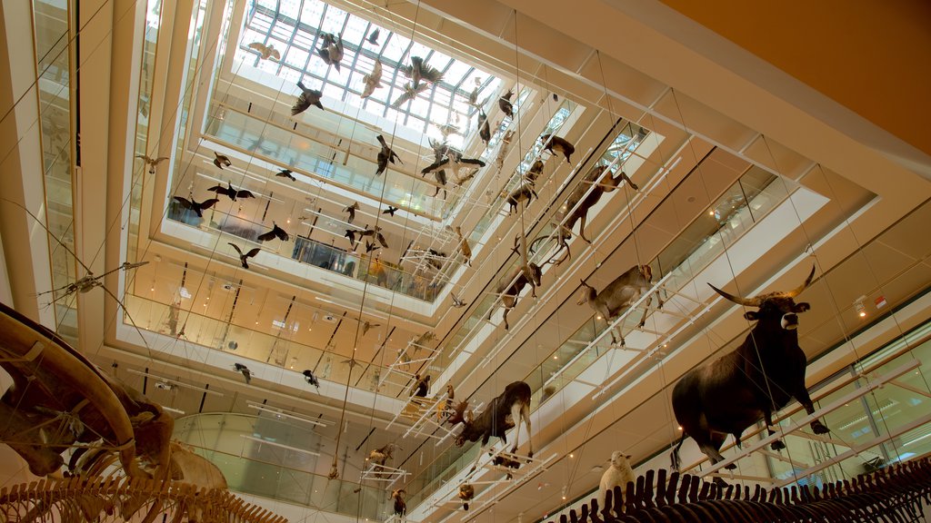 Museo Tridentino di Scienze Naturali showing interior views and art