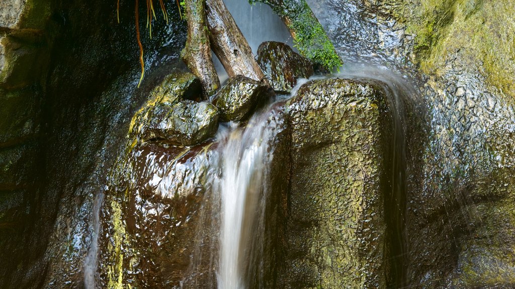 Museo Tridentino di Scienze Naturali showing a waterfall