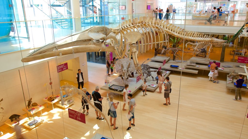 Museo Tridentino di Scienze Naturali featuring interior views as well as a large group of people