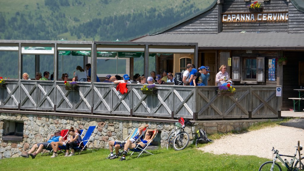 Passo Rolle showing cafe scenes as well as a large group of people